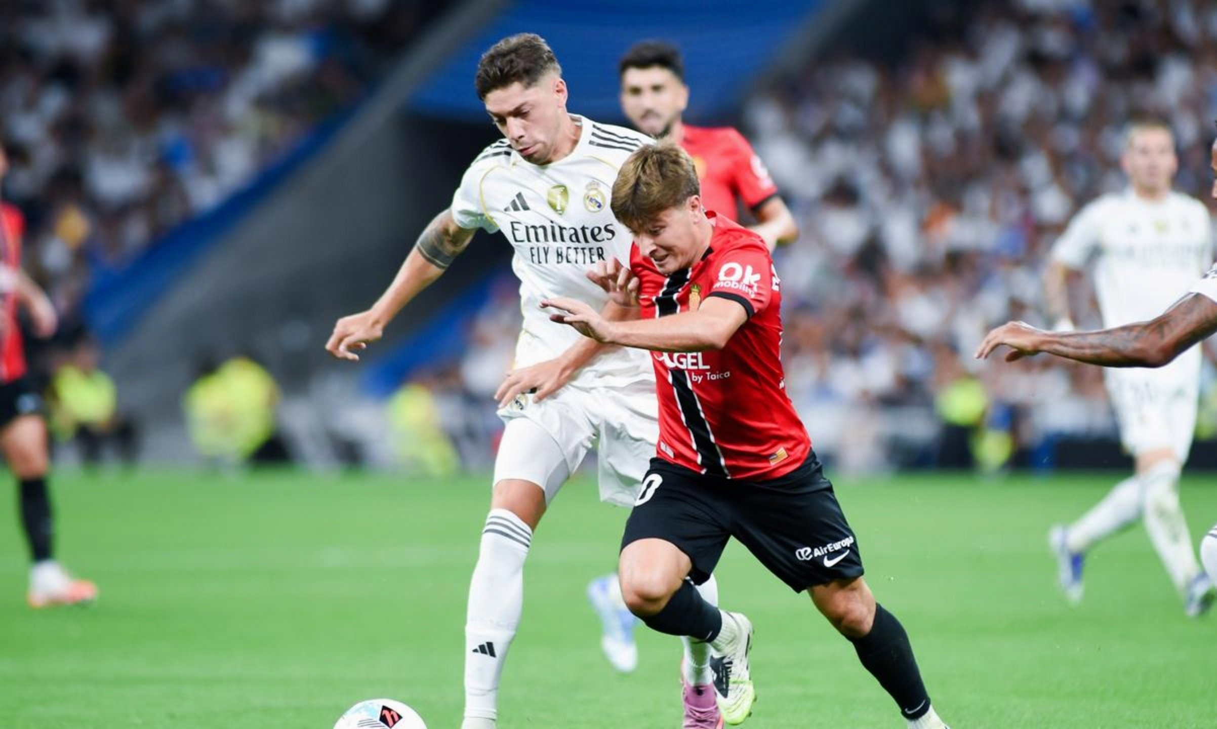 离谱！明尼苏达森林狼围绕国王杯主帅复盘今晨拜仁慕尼黑备战足总杯，皇家社会围绕意大利杯回应争议的简单介绍